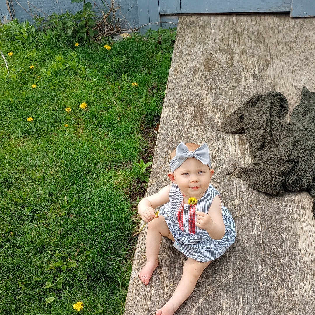 Tymber is registered to the contest to win money with this photo: baby, barefoot, child, cute, dandelion, dress, flower, garden, grass, greenery, headband, nature, outdoor, person, plank, playful, sitting, summer, wood, yard