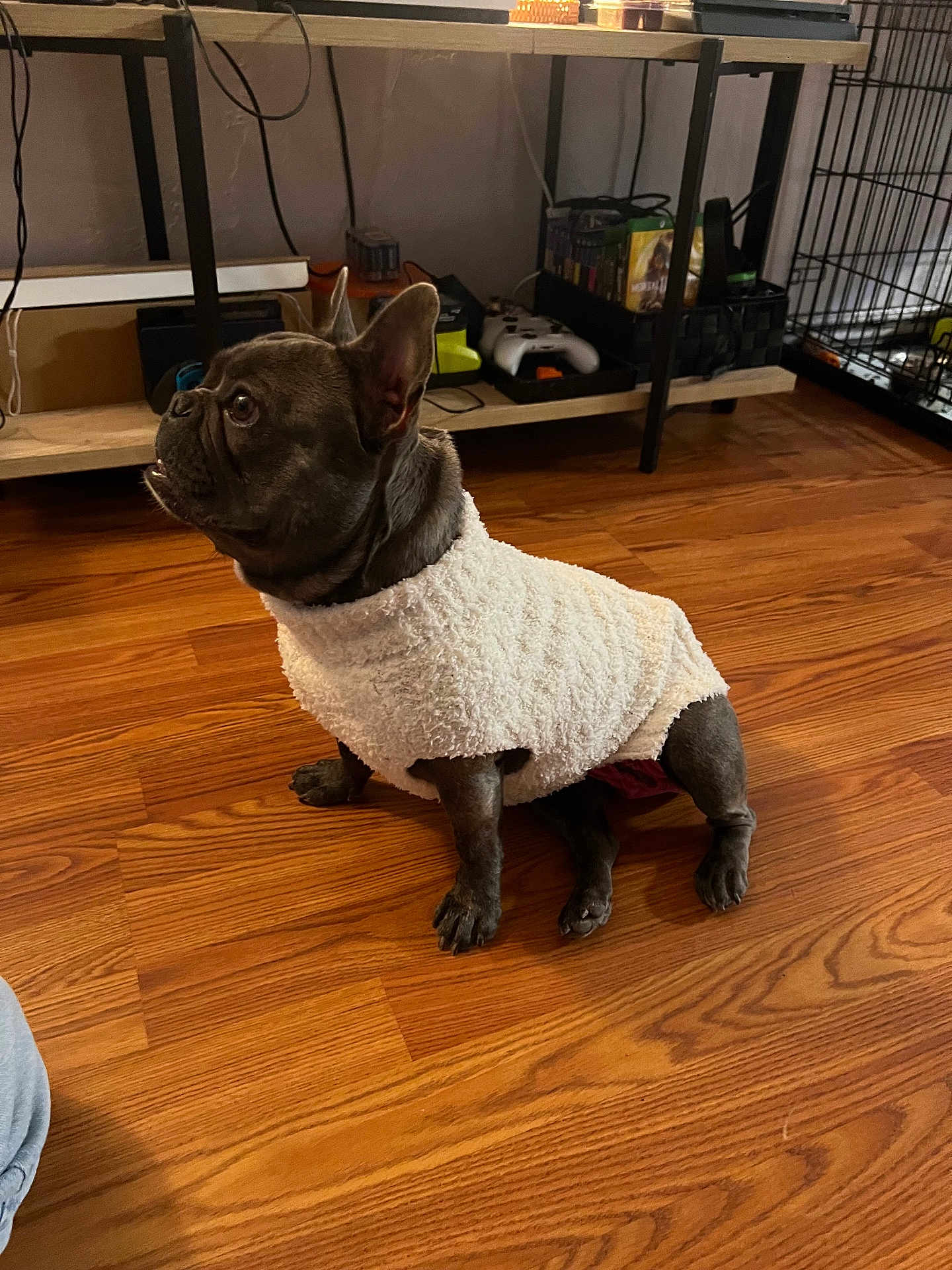 Bella