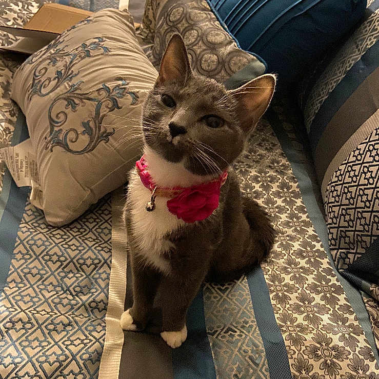 Quinn