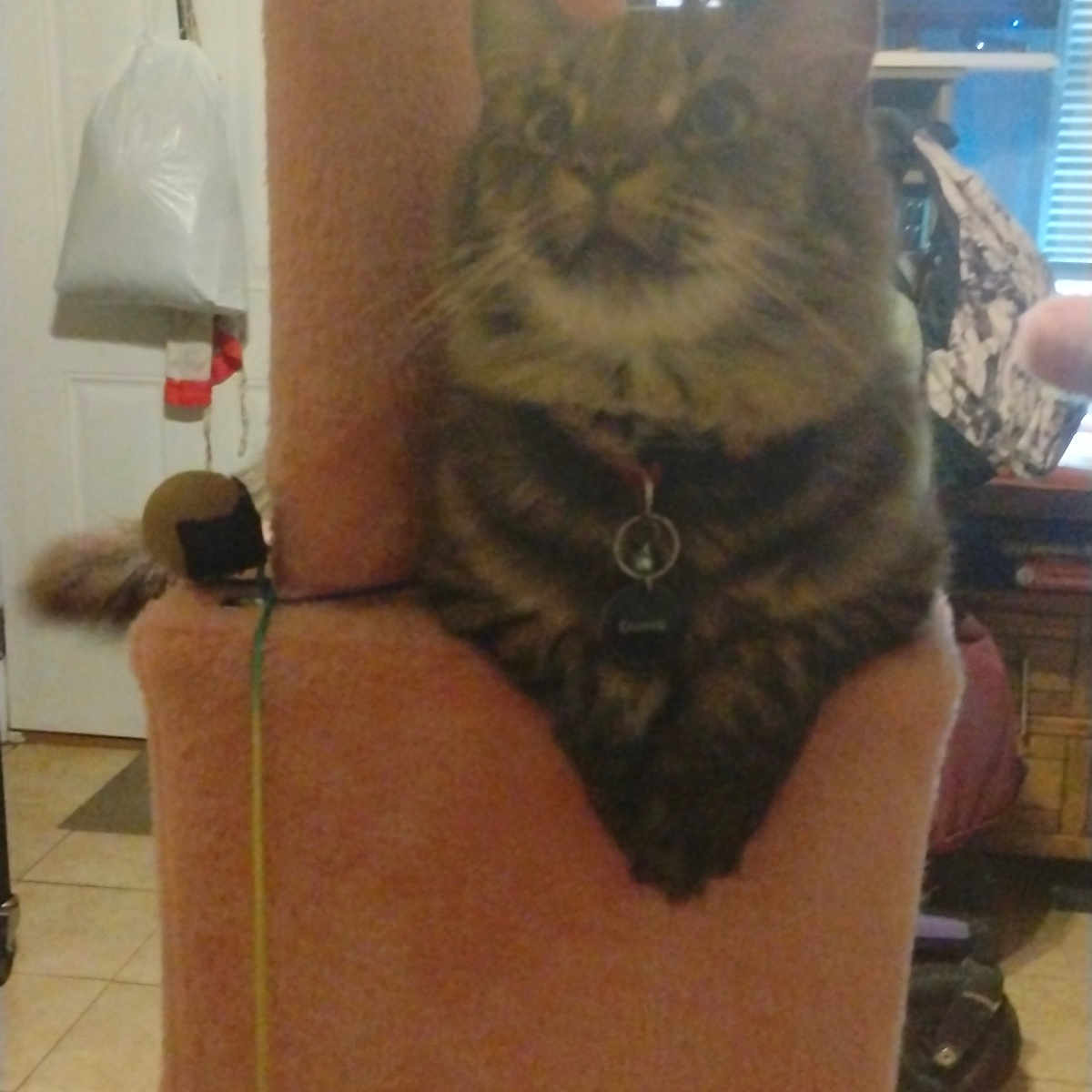 Coco