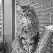 Wasaby a rejoint le concours — aidez-le/la à gagner de superbes lots !