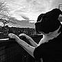 Paco participe au concours pour gagner de l'argent avec cette photo : dog, black_and_white, balcony, paws, sky, cloudy, sunset, outdoor, animal, pet, fence, silhouette, nature, quiet, thoughtful, canine, profile, contrast, trees, evening