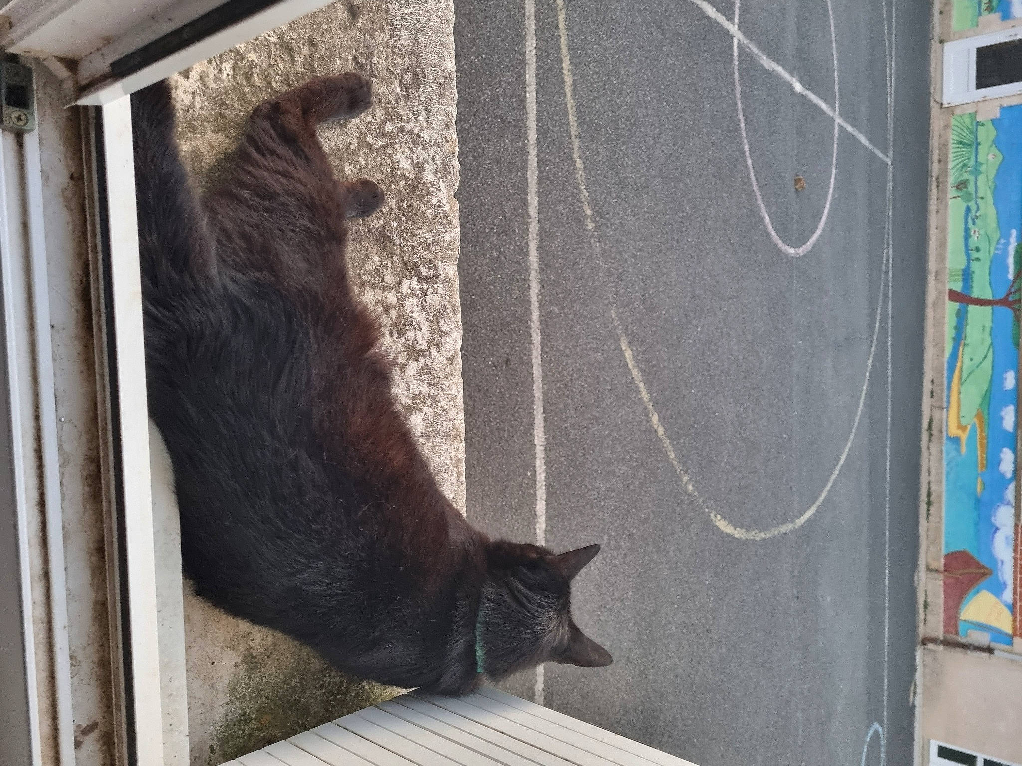 Diego participe au concours pour gagner de l'argent avec cette photo : art, bombay, carnivore, cat, chalk, domestic_short_haired_cat, door, felidae, fur, grey, line, liver, mammal, small_to_medium_sized_cats, tail, terrestrial_animal, visual_arts, whiskers, window, wood