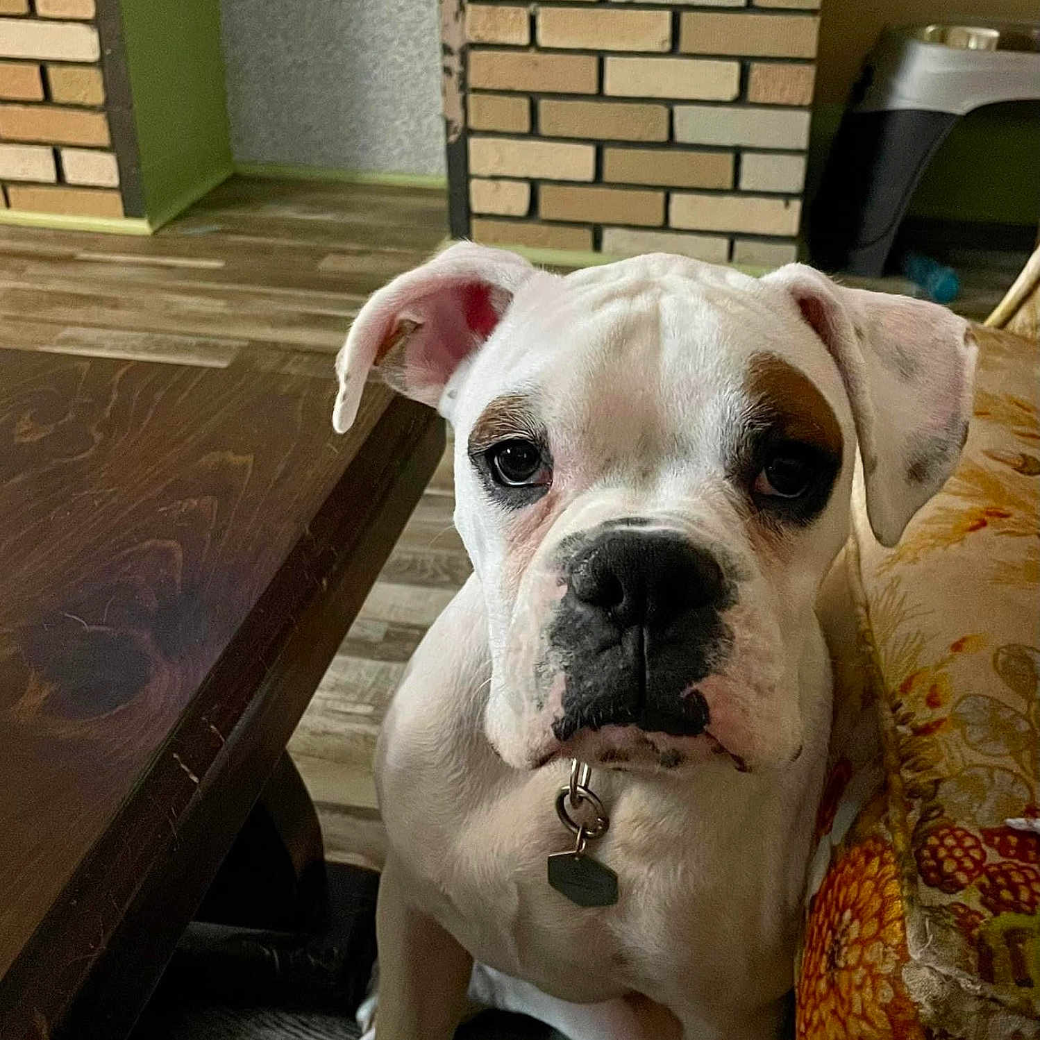 Zeke