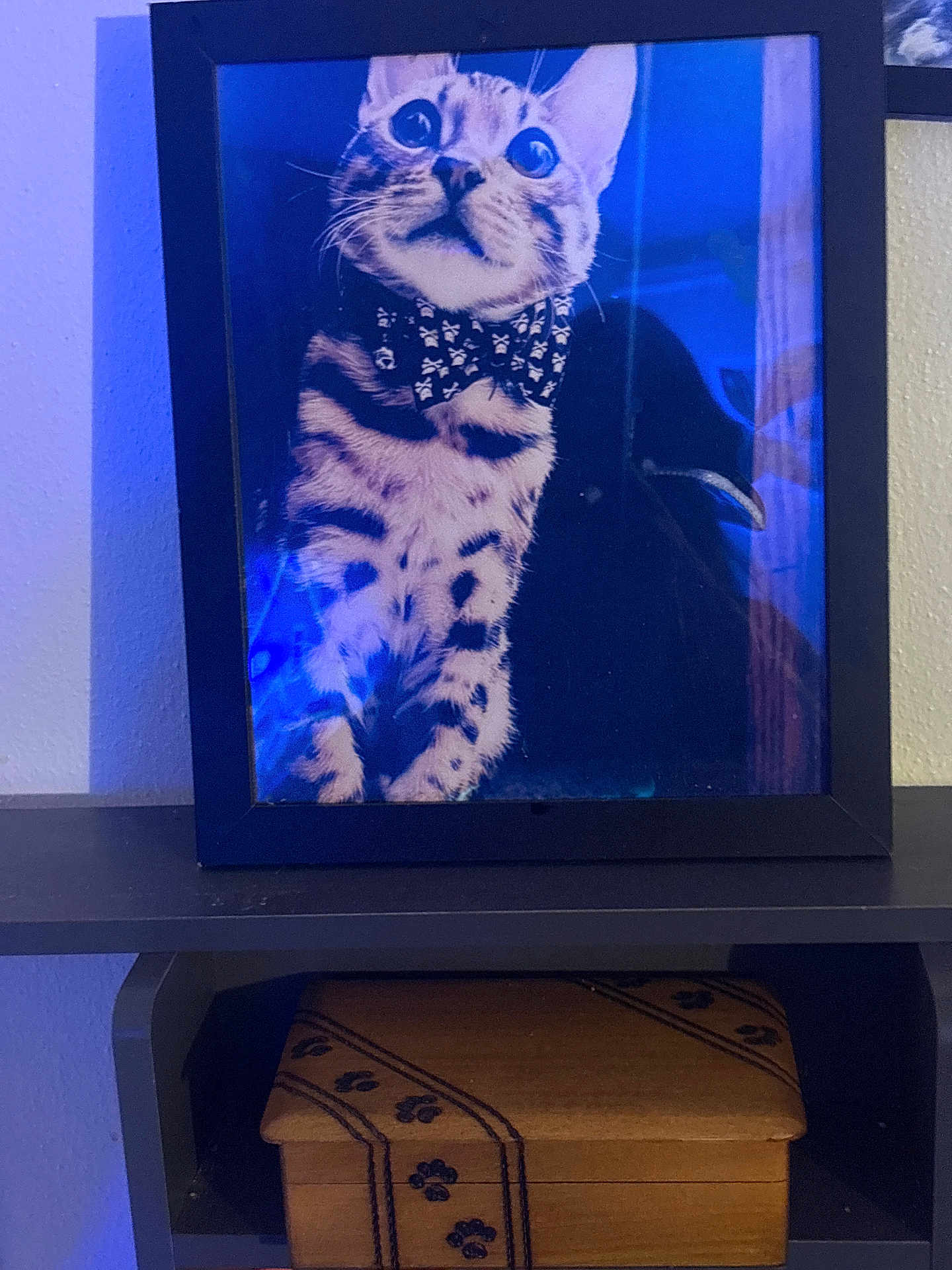 Wellen-james St. Sinclair