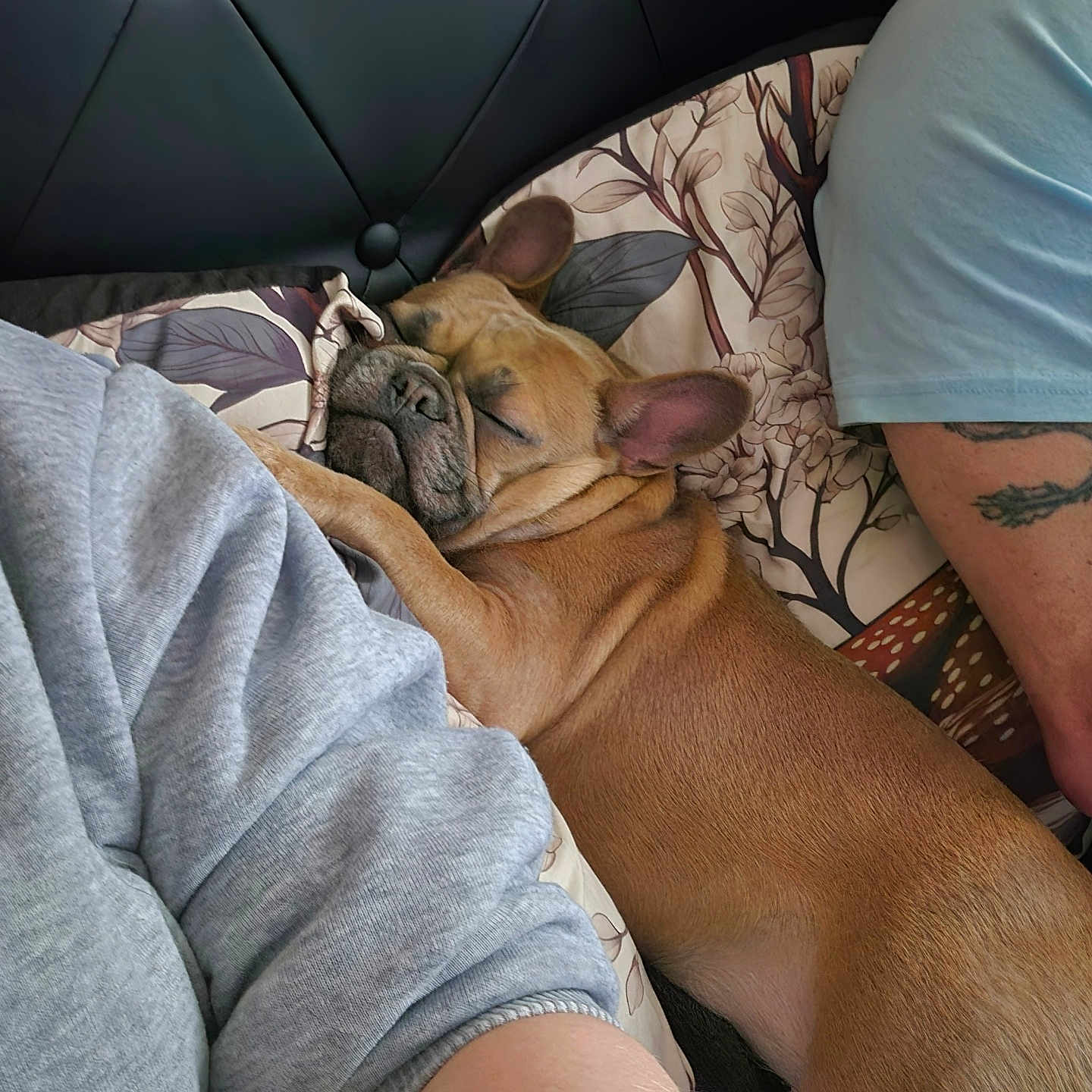 Izzy-Belle