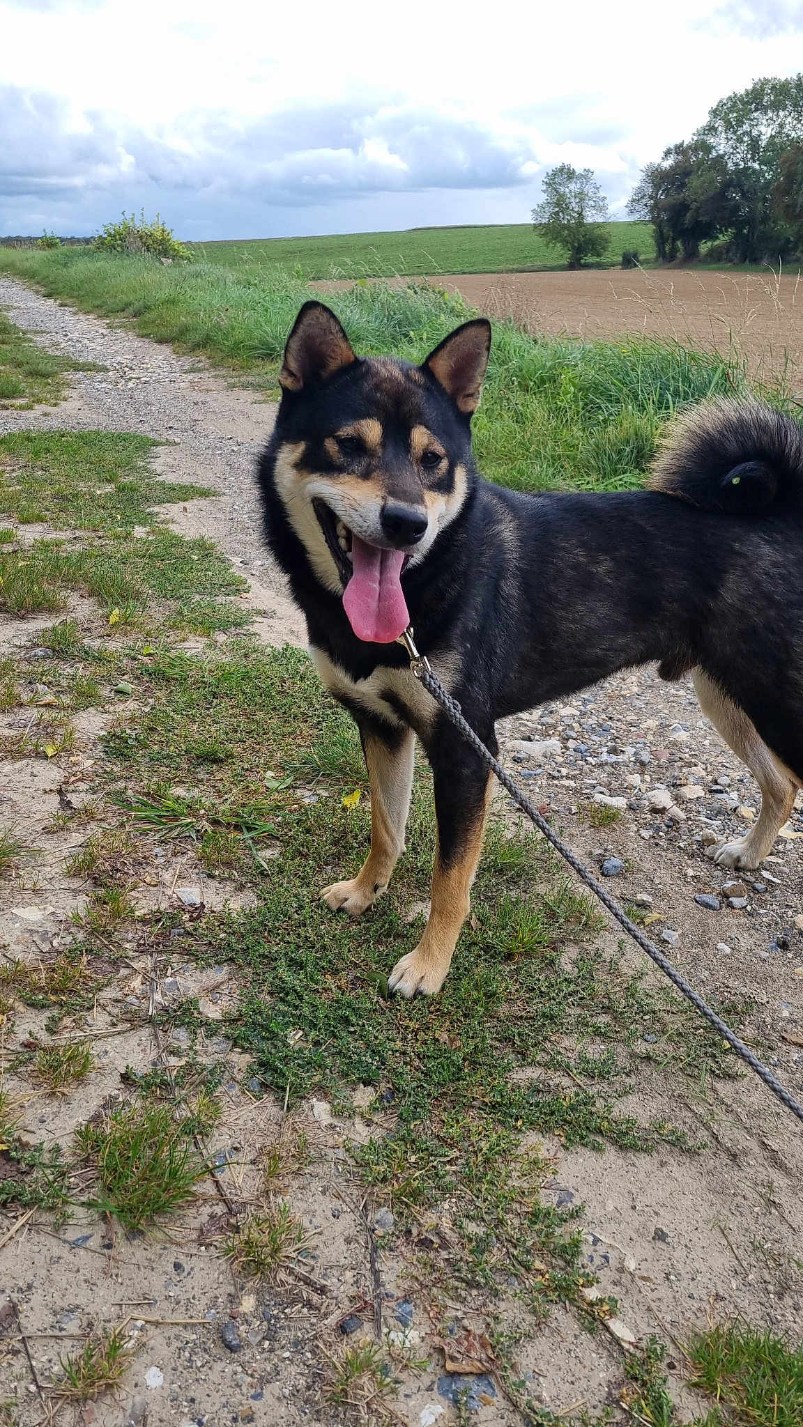 Tyson