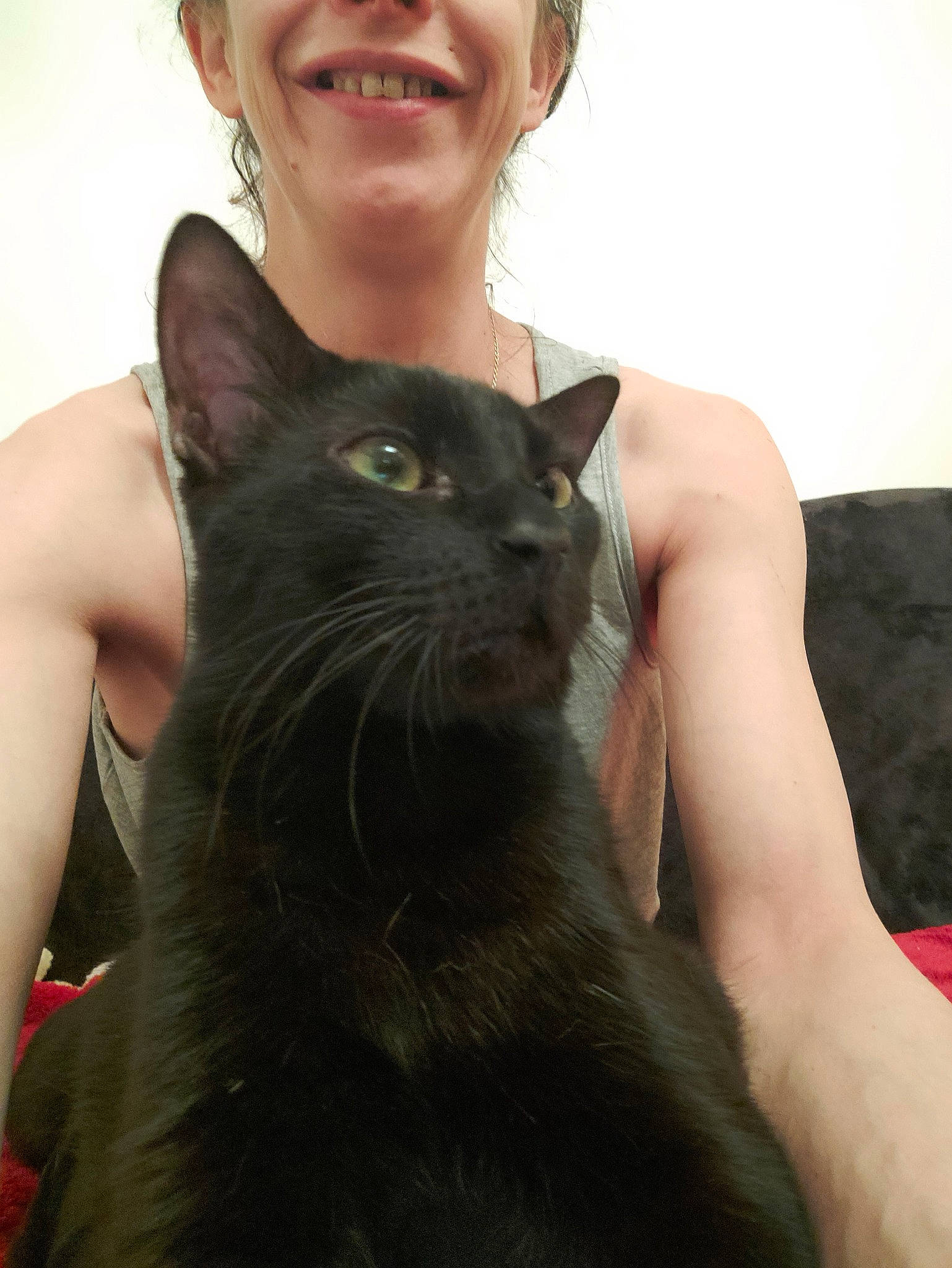 Coocky participe au concours pour gagner de l'argent avec cette photo : carnivore, cat, domestic_short_haired_cat, eyewear, felidae, fur, gesture, happy, laugh, shoulder, sitting, small_to_medium_sized_cats, smile, snout, terrestrial_animal, whiskers