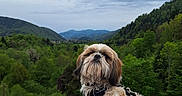 Myo participe au concours pour gagner de l'argent avec cette photo :