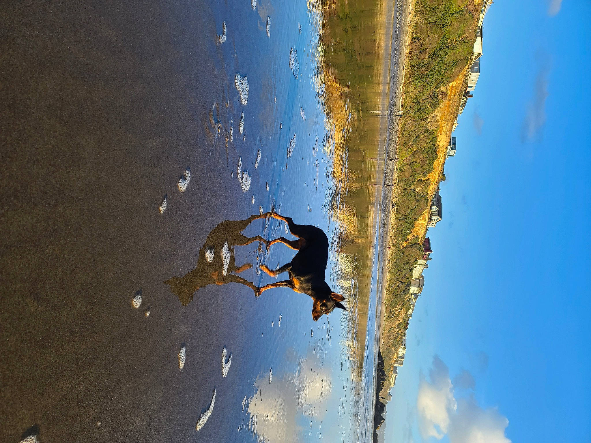 Opal is registered to the contest to win money with this photo: air_sports, azure, cloud, electric_blue, extreme_sport, landscape, leisure, outdoor_recreation, people_in_nature, plant, recreation, sky, slope, sport_climbing, sports, sunlight, tree, water, wind, wood