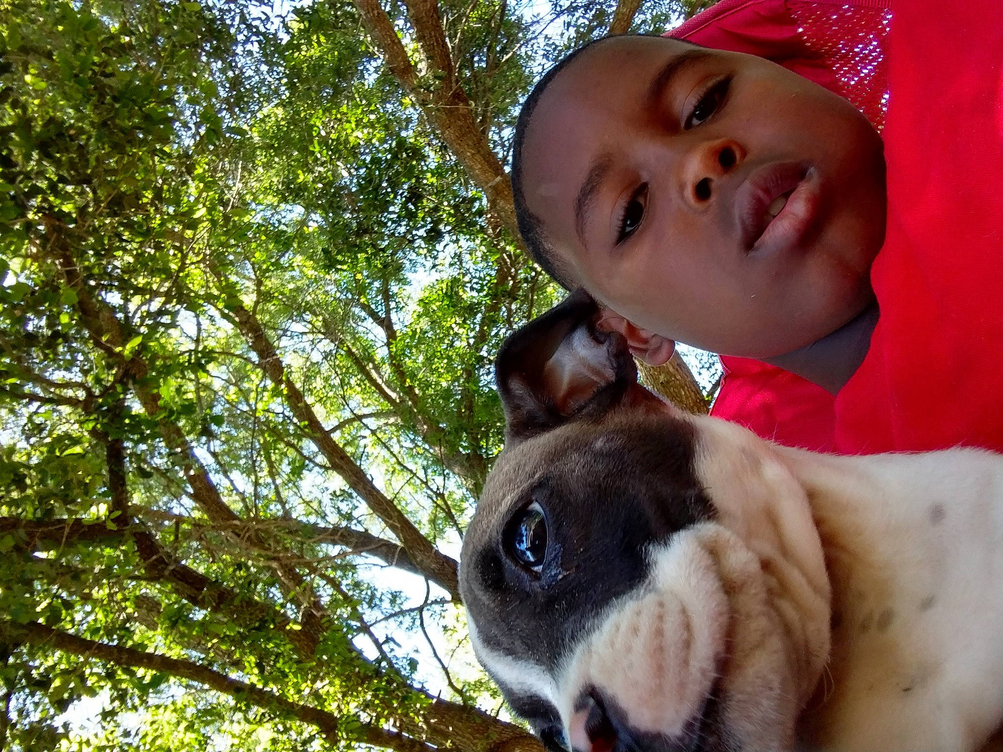 Brayden joined the competition — help win amazing prizes! baby, cap, carnivore, companion_dog, dog, dog_breed, dog_collar, eye, fawn, fun, grass, happy, hat, headwear, leisure, mammal, nose, people_in_nature, person, plant