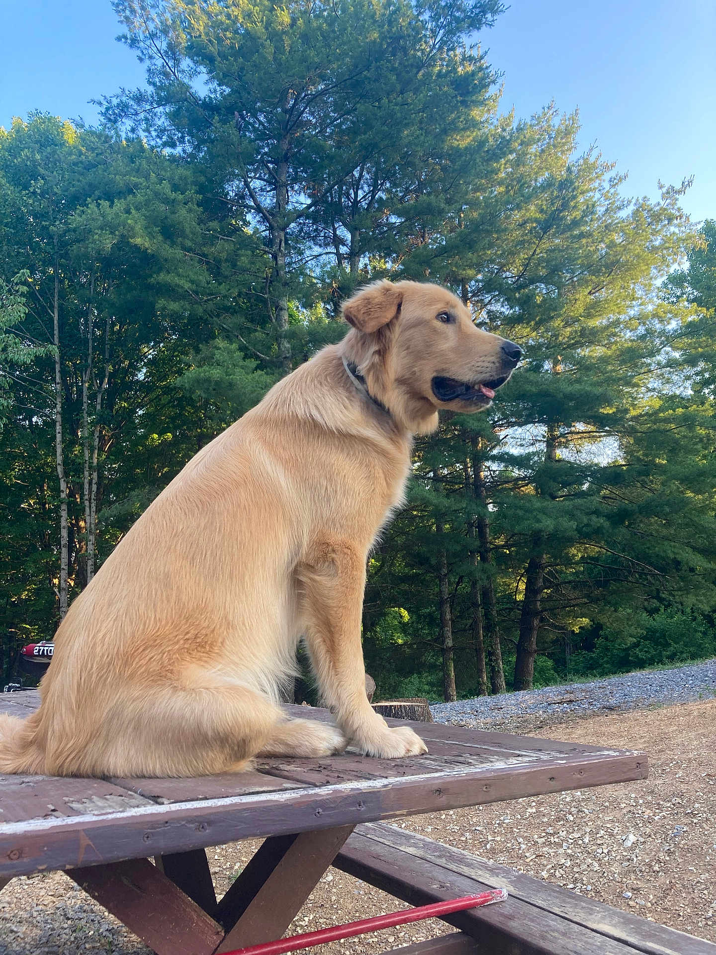 Gunner