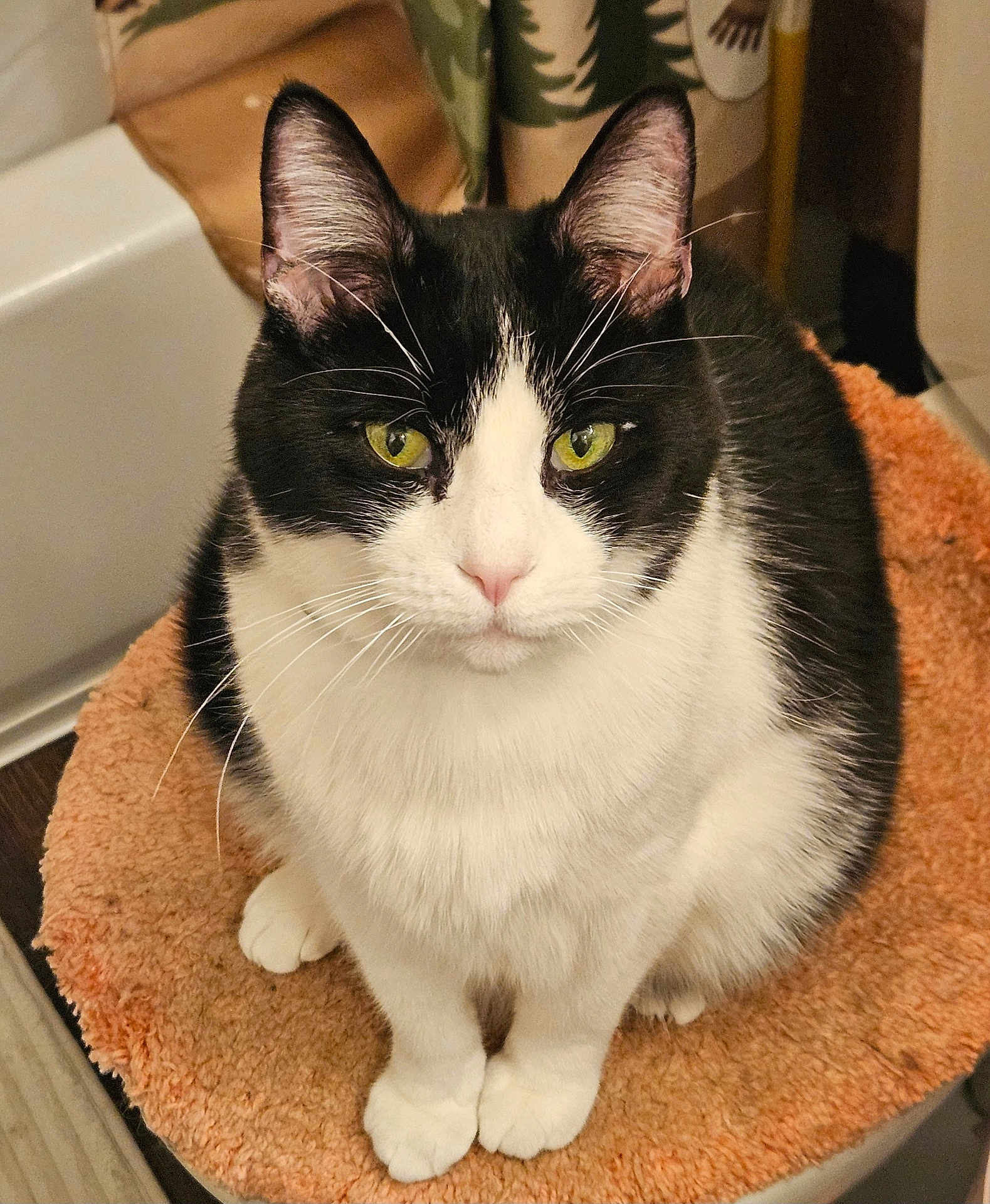 Axel