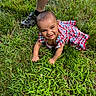 Jezimae is registered to the contest to win money with this photo: baby, casual, child, crawling, cute, expression, footwear, grass, grass_field, greenery, happy, infant, legs, nature, outdoor, person, plaid_dress, playful, smiling, summer