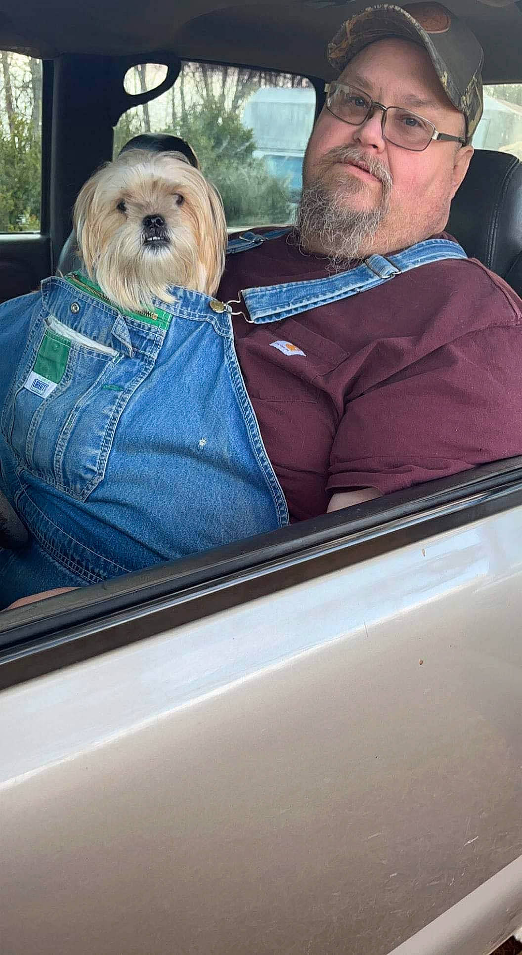 Hazel joined the competition — help win amazing prizes! automotive_design, automotive_exterior, automotive_window_part, beard, car, carnivore, companion_dog, dog, dog_breed, eyewear, facial_hair, family_car, glasses, motor_vehicle, plant, sporting_group, vehicle, vehicle_door, windshield, wrinkle