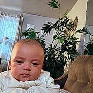 William is registered to the contest to win money with this photo: baby, child, couch, cozy, curtain, expression, face, furniture, greenery, home, indoor, infant, lighting, pajamas, person, plant, portrait, seated, soft, window