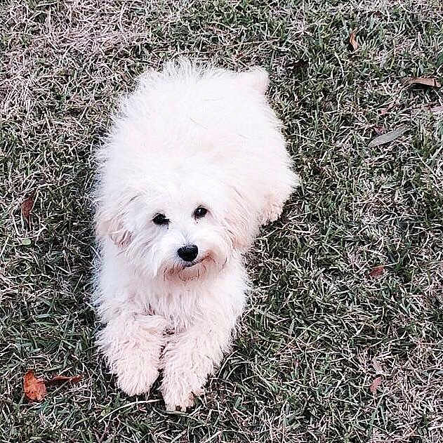 Bella