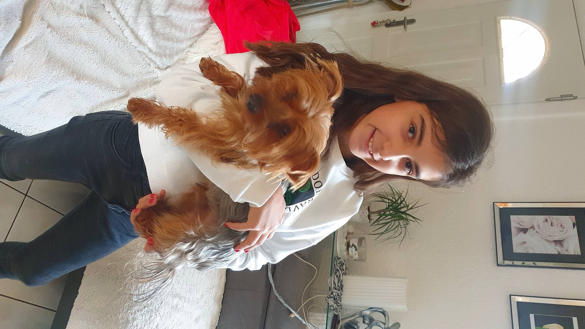 Luna participe au concours pour gagner de l'argent avec cette photo : canidae, carnivore, collar, companion_dog, dog, dog_breed, dog_clothes, dog_supply, ear, eyelash, fashion_accessory, fawn, fun, fur, hair_coloring, happy, houseplant, joy, long_hair, person