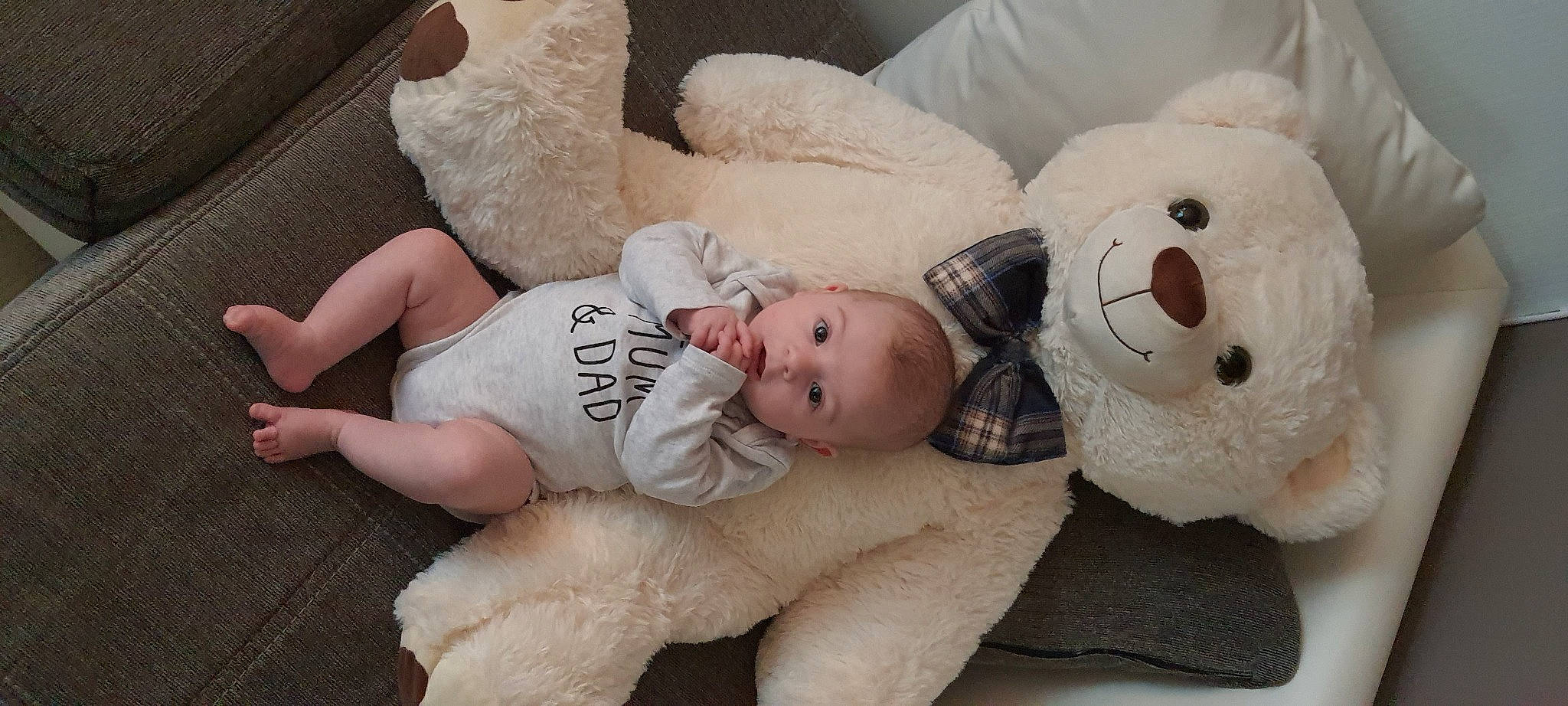 Nina a rejoint le concours — aidez-le/la à gagner de superbes lots ! arm, baby, baby_sleeping, baby_toddler_clothing, cheek, child, comfort, couch, eye, face, head, headgear, linens, nose, person, skin, stuffed_toy, textile, toddler, toy