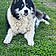 Colby
