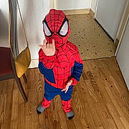 Ethan participe au concours pour gagner de l'argent avec cette photo : action_figure, animation, art, avengers, carmine, costume, door, fiction, fictional_character, flooring, hardwood, helmet, laminate_flooring, personal_protective_equipment, room, spider_man, superhero, wood, wood_flooring, wood_stain