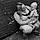 Alexis K.