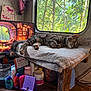 Liger is registered to the contest to win money with this photo: cat, tabby_cat, window, nature, trees, indoor, wooden_furniture, blanket, computer_monitor, bottle, container, desk, relaxing, sunlight, resting, cozy, vintage, technology, animal, peaceful