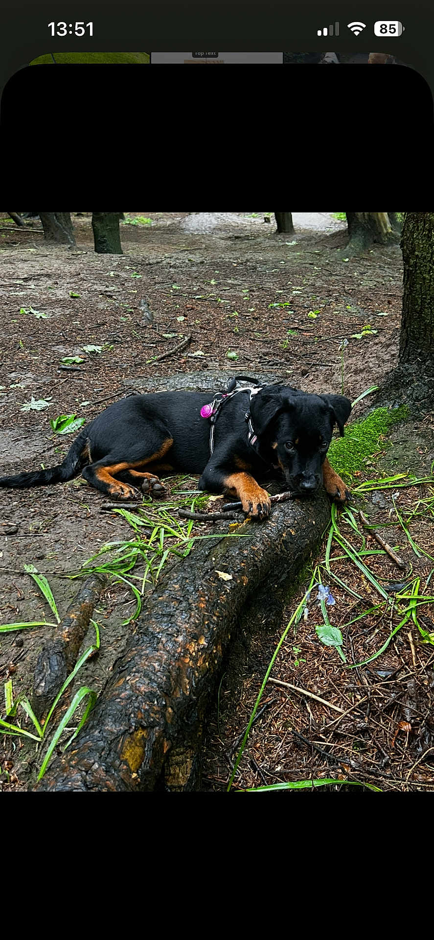 Athena