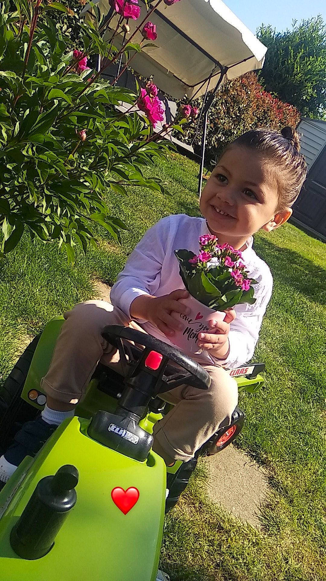 Yanis a rejoint le concours — aidez-le/la à gagner de superbes lots ! child, event, flower, fun, garden, grass, happy, joy, lawn, leisure, luggage_and_bags, people_in_nature, person, petal, plant, recreation, rose_family, shorts, sitting, toddler