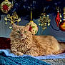 cat, orange_cat, fluffy, green_eyes, lying_down, rug, blue_rug, white_rug, christmas_tree, christmas_ornaments, holiday_decor, festive, indoor, cozy, pet, feline, decorative_balls, relaxed, holiday_season, home