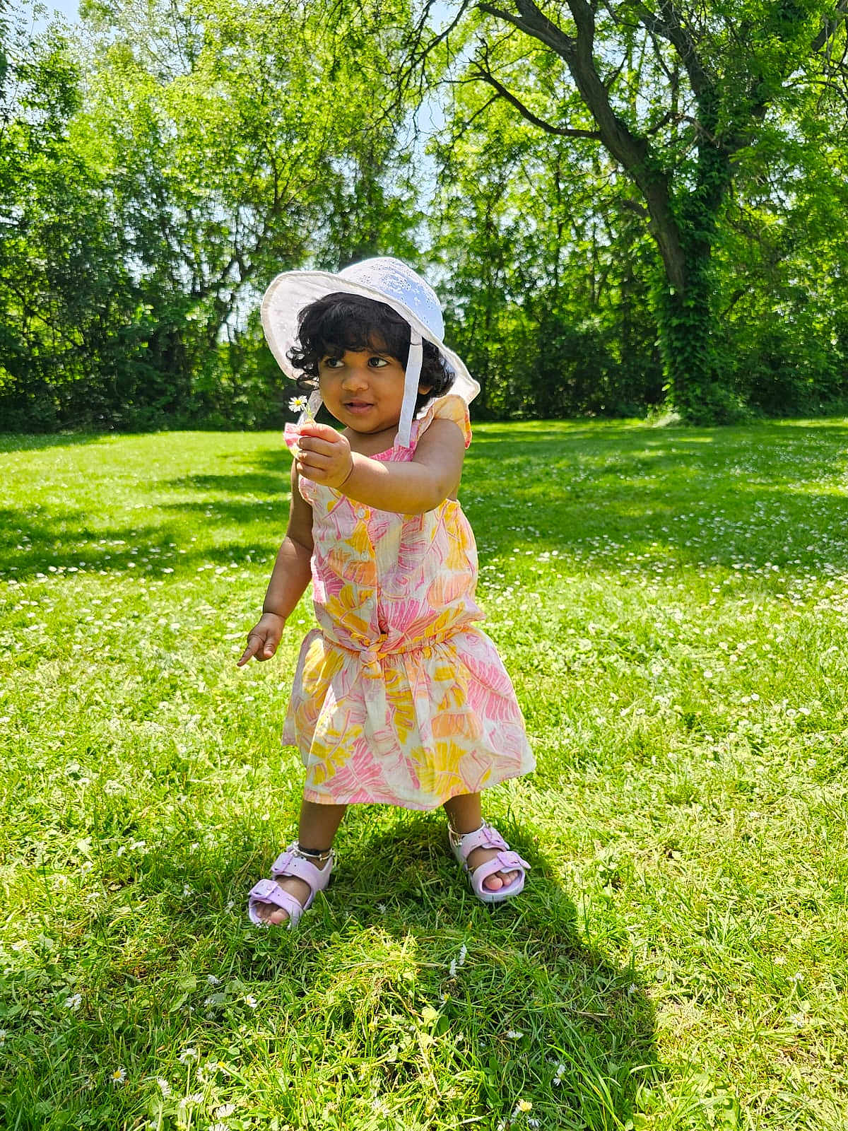 Saanvhi joined the competition — help win amazing prizes! toddler, child, outdoor, grass, flower, hat, dress, sunlight, shadow, nature, greenery, summer, smiling, sandals, cute, portrait, playing, happy, person, daytime