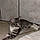 Naya