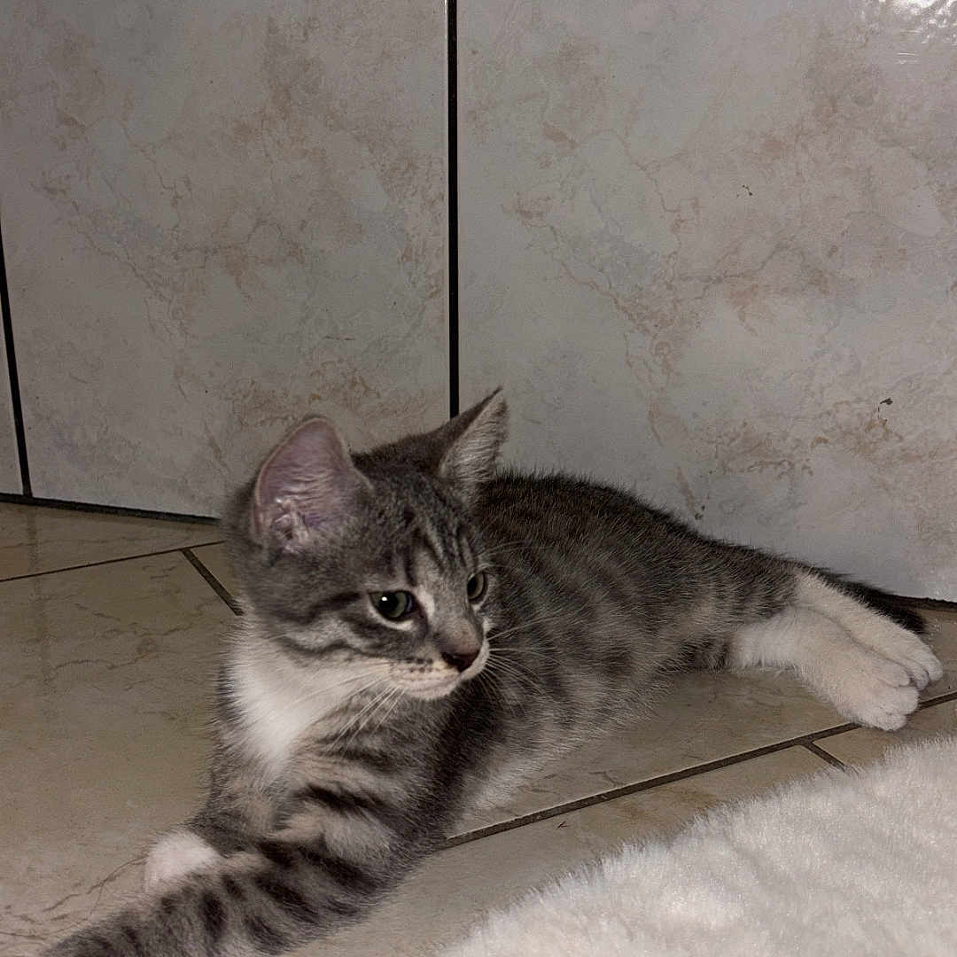 Naya