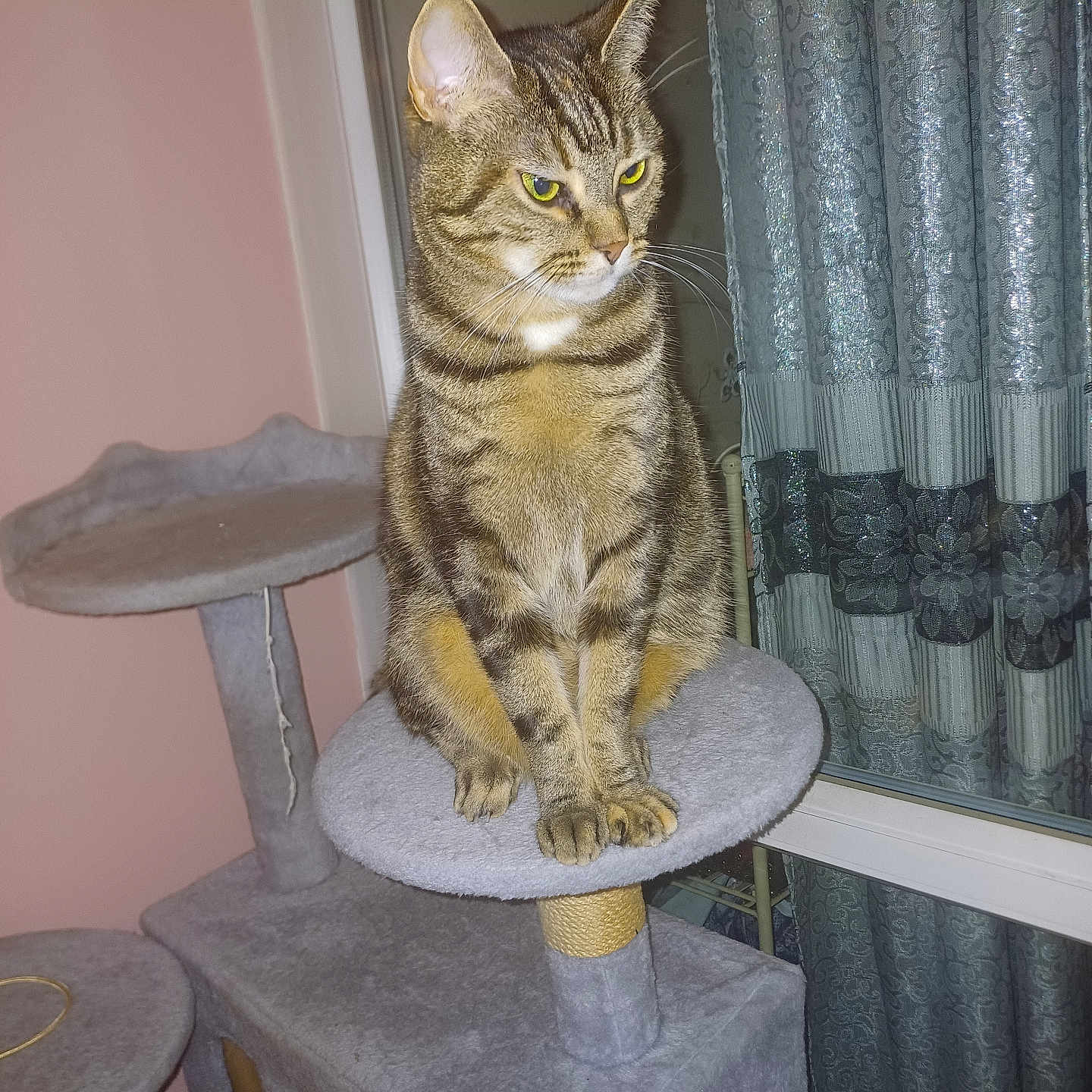 Louna