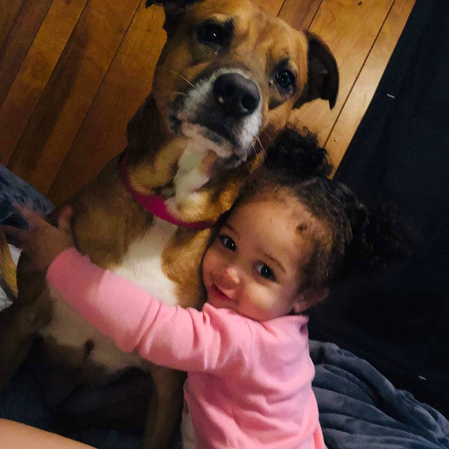Aylin is registered to the contest to win money with this photo: boerboel, boxer, bullmastiff, canidae, carnivore, child, companion_dog, dog, dog_breed, ear, fawn, head, nose, person, pit_bull, puppy, puppy_love, selfie, skin, snout