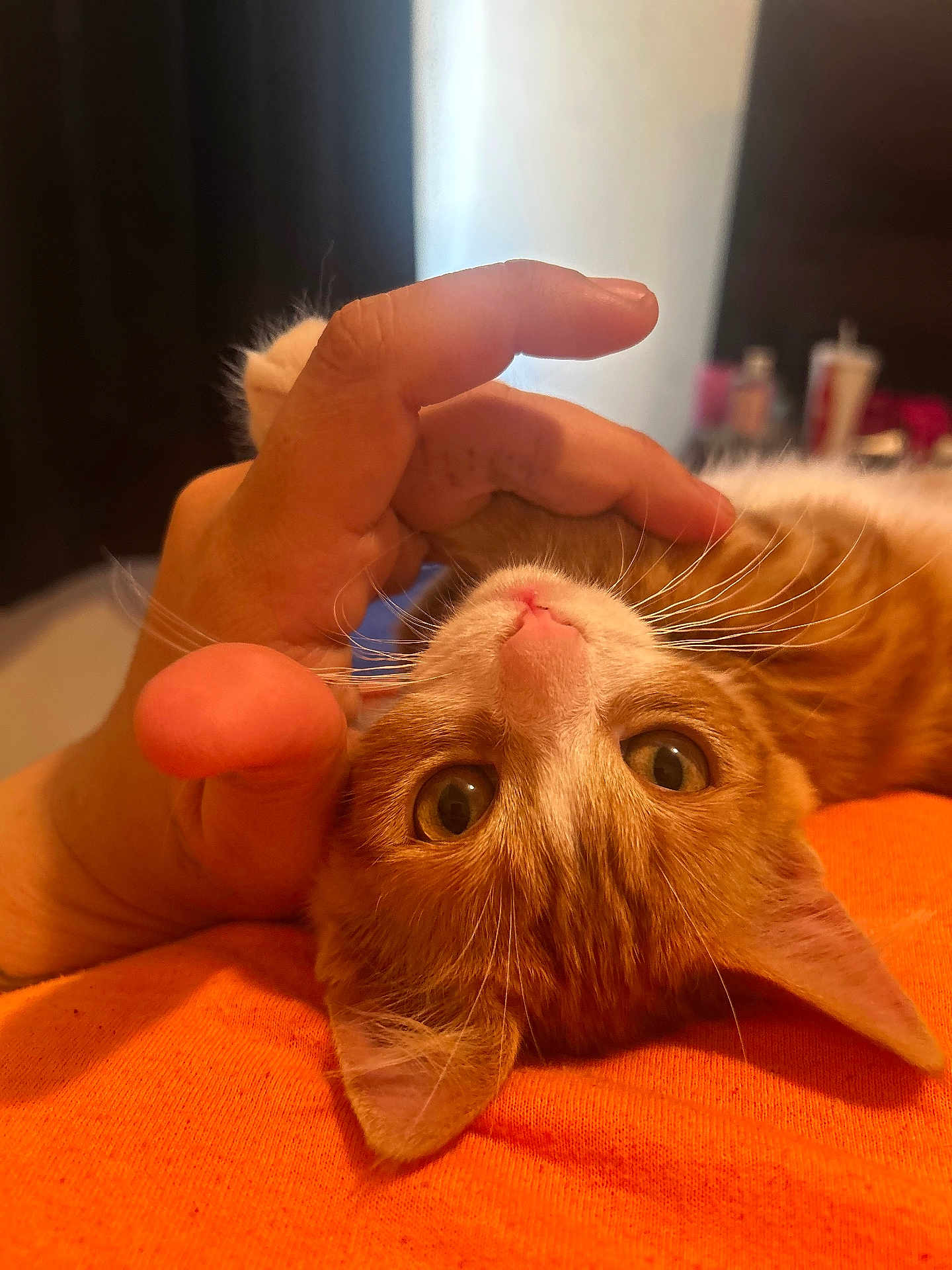 Peaches