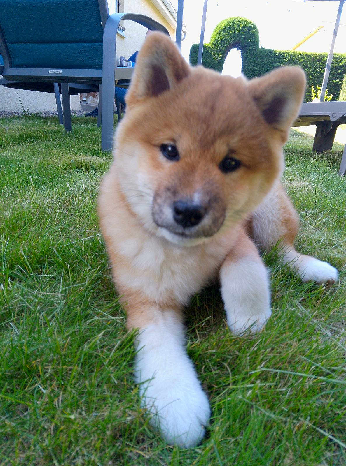 Hiro