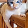 Missie