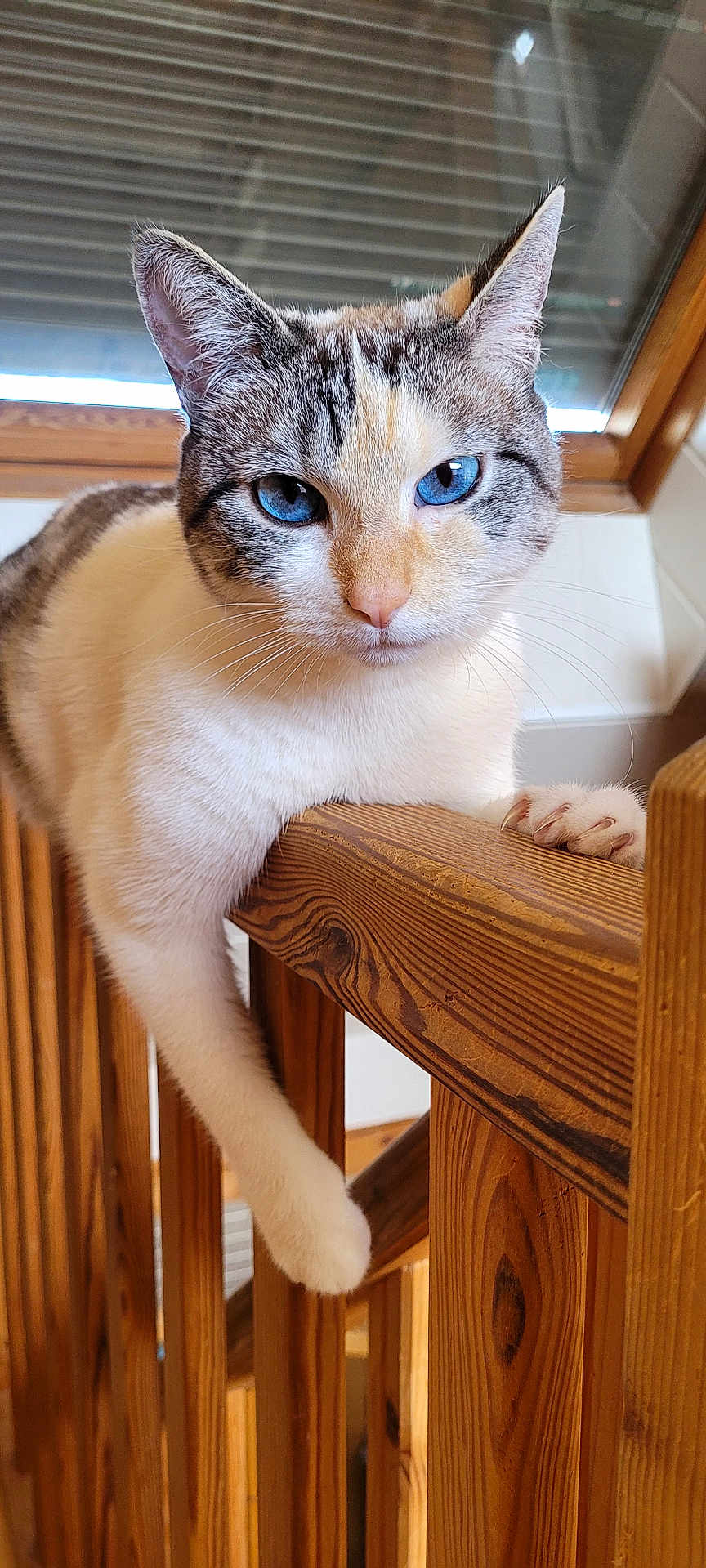 Missie