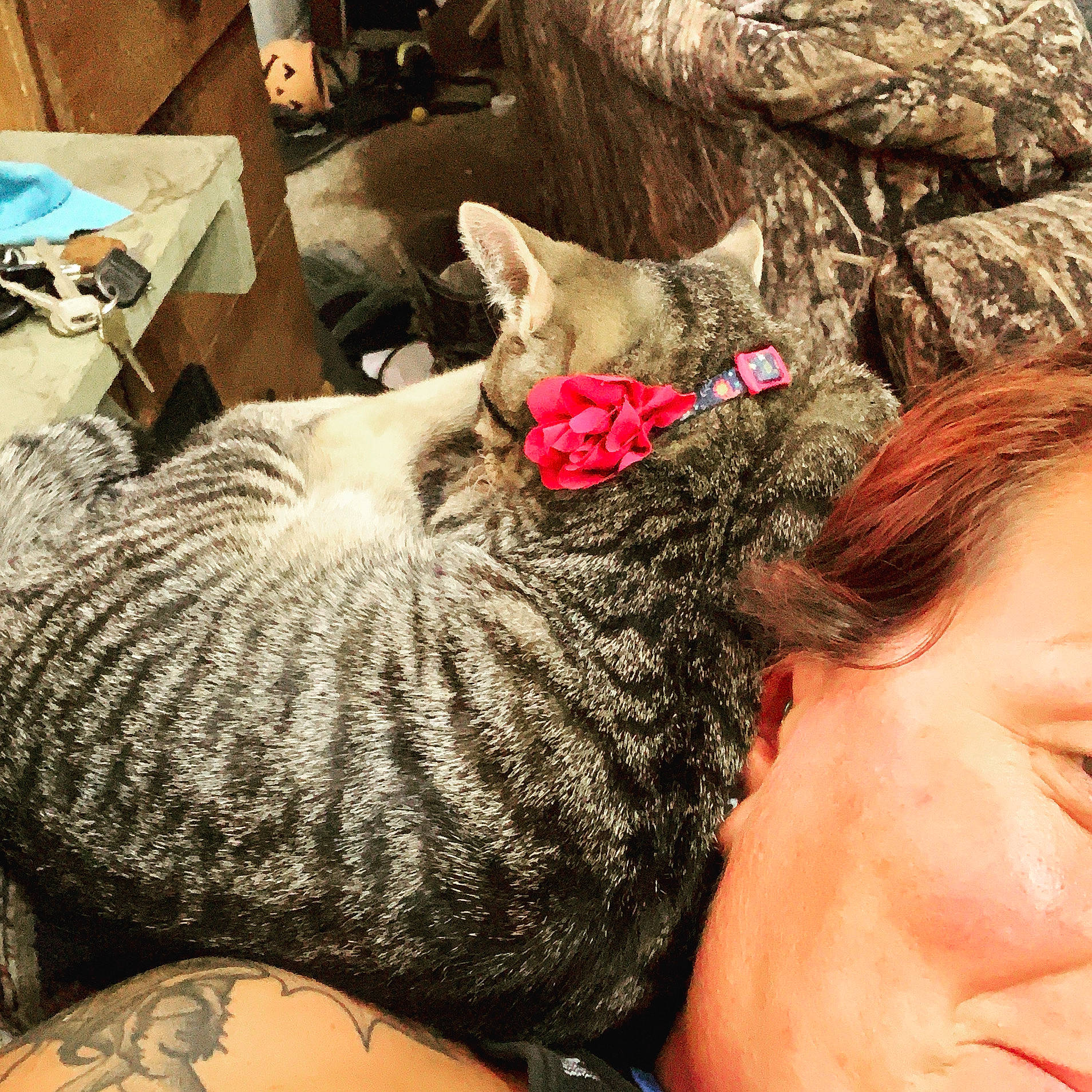 Keystone joined the competition — help win amazing prizes! calabaza, cat, comfort, cucurbita, fashion_accessory, felidae, fruit, fur, gesture, gourd, nail, natural_foods, plant, pumpkin, selfie, small_to_medium_sized_cats, squash, vegetable, whiskers, winter_squash