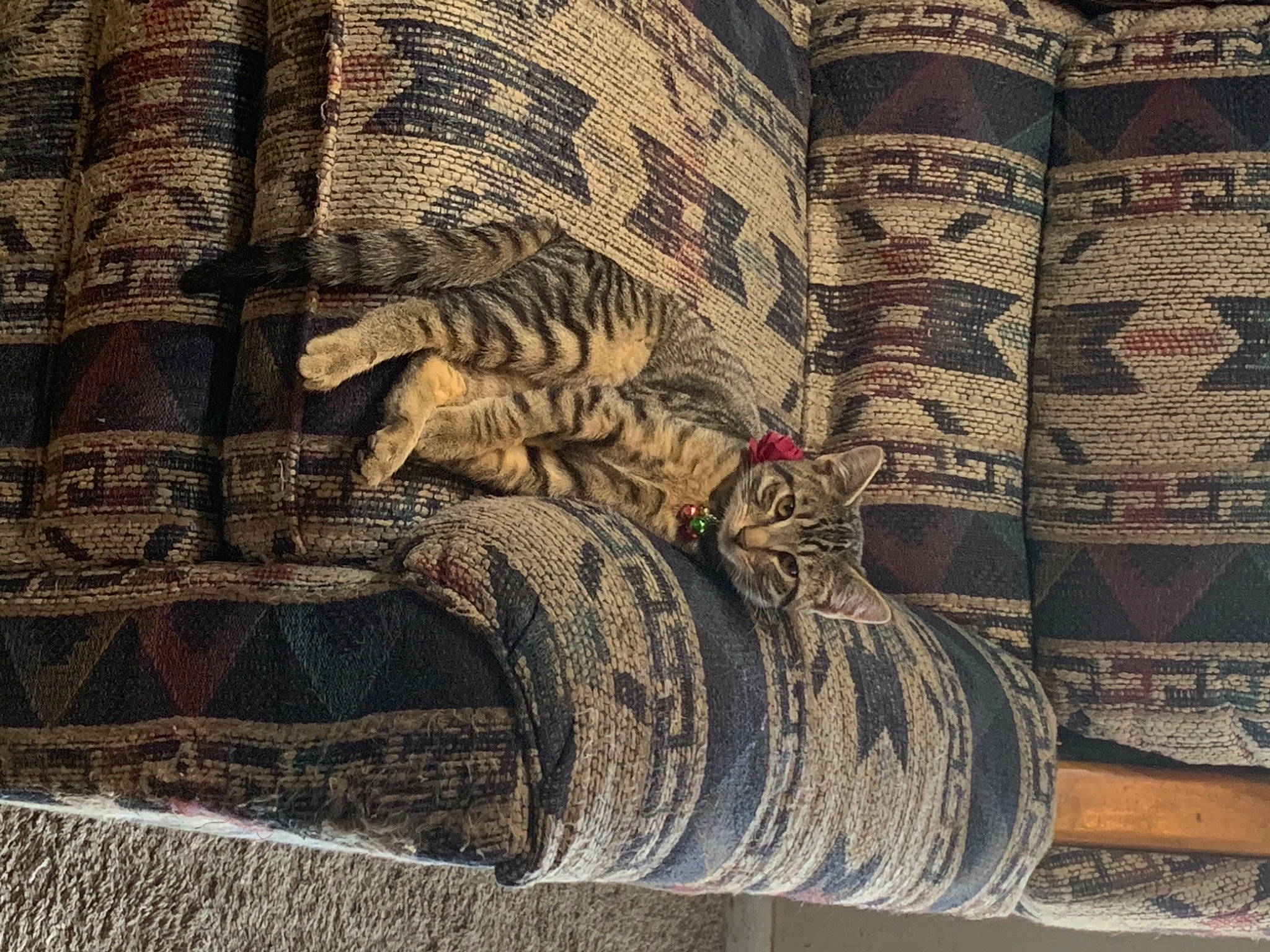 Keystone is registered to the contest to win money with this photo: ancient_history, art, artifact, automotive_tire, big_cats, brick, brickwork, carving, facade, felidae, font, history, human_leg, pattern, publication, terrestrial_animal, textile, trunk, visual_arts, wood