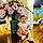 Sareen