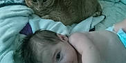 Felicia Mae is registered to the contest to win money with this photo: baby, cat, blanket, bed, cushion, furniture, indoor, infant, mattress, orange_cat, person, plush_toy, resting, soft_toy, toddler, toy, young_child, lying_down, comfort, cozy