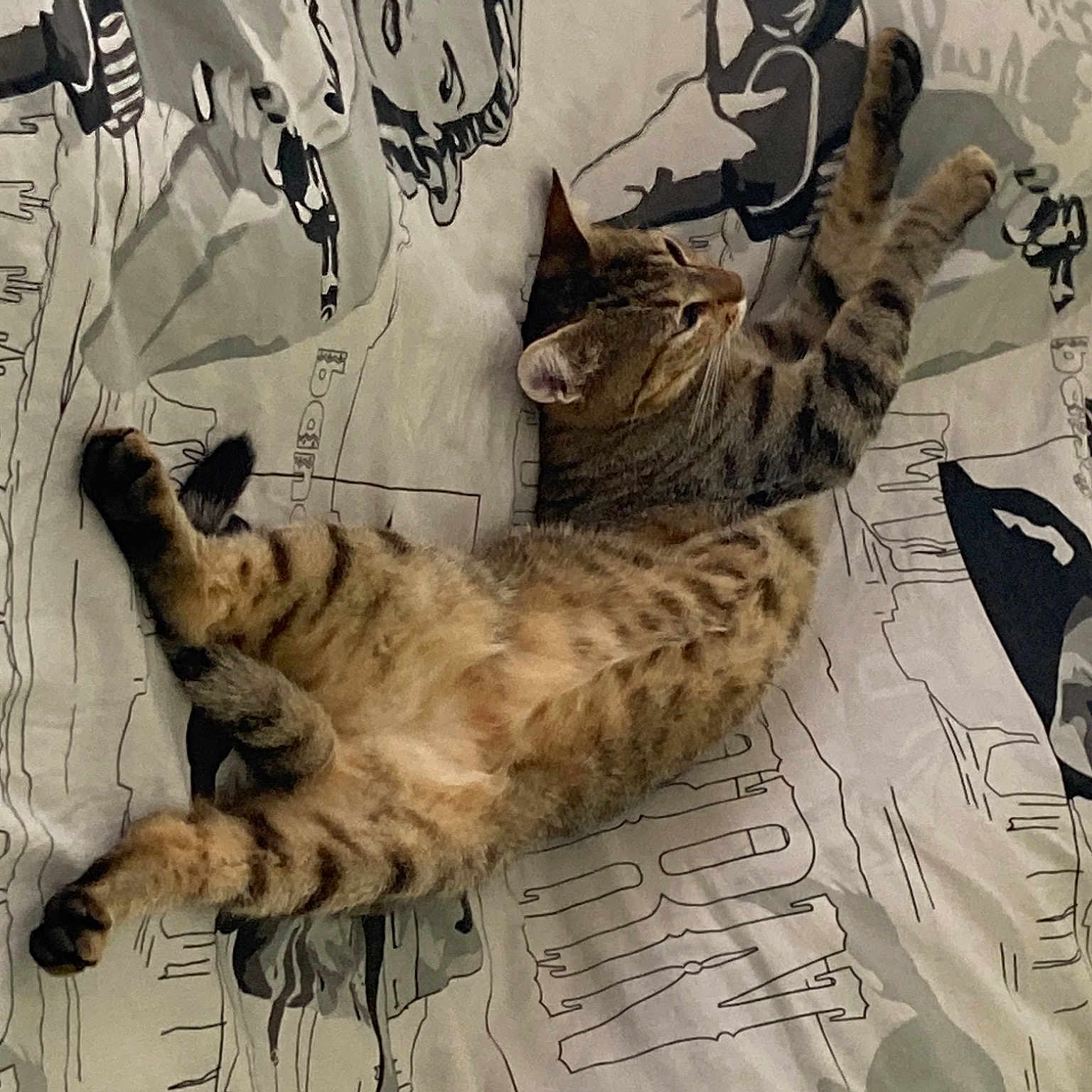Côtelette
