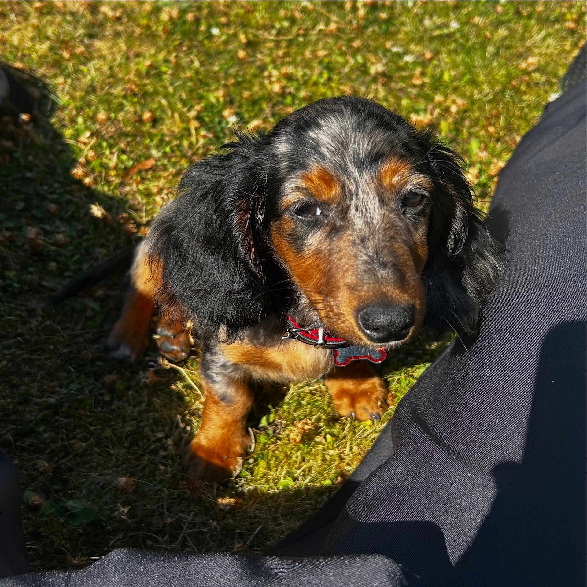 Baïko