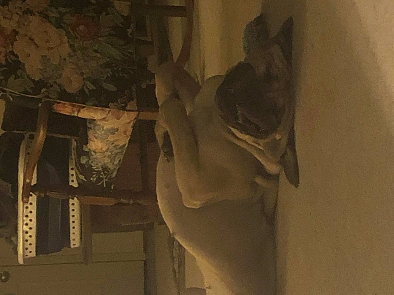 Lucy joined the competition — help win amazing prizes! art, room