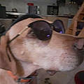 Nadine Moustache