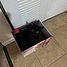 Jack is registered to the contest to win money with this photo: black_cat, cat, box, cardboard_box, indoor, floor, tile_floor, door, shadow, pet, animal, curious, sitting, looking_up, home, cozy, cute, feline, yellow_eyes, quiet