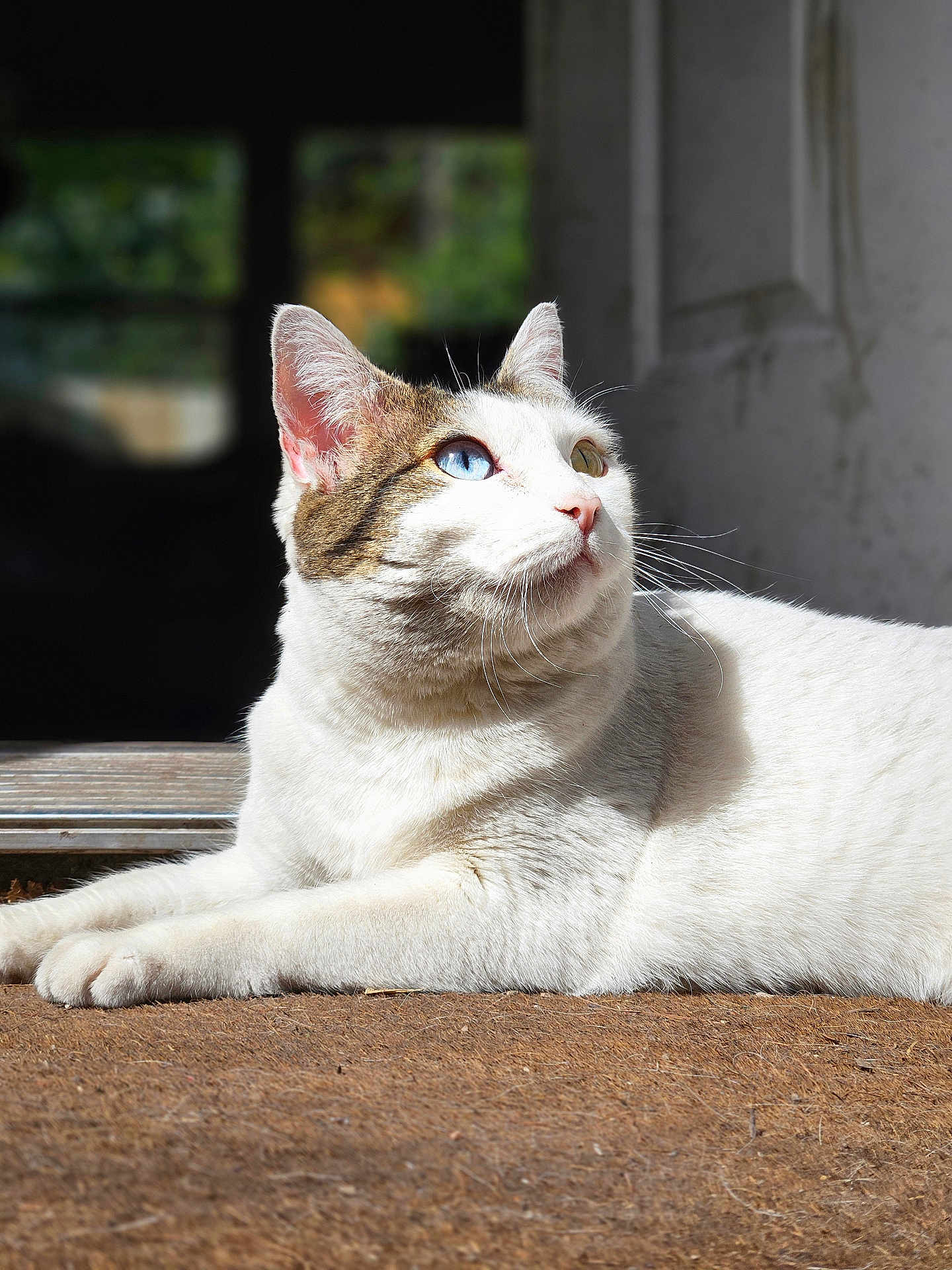 Luna