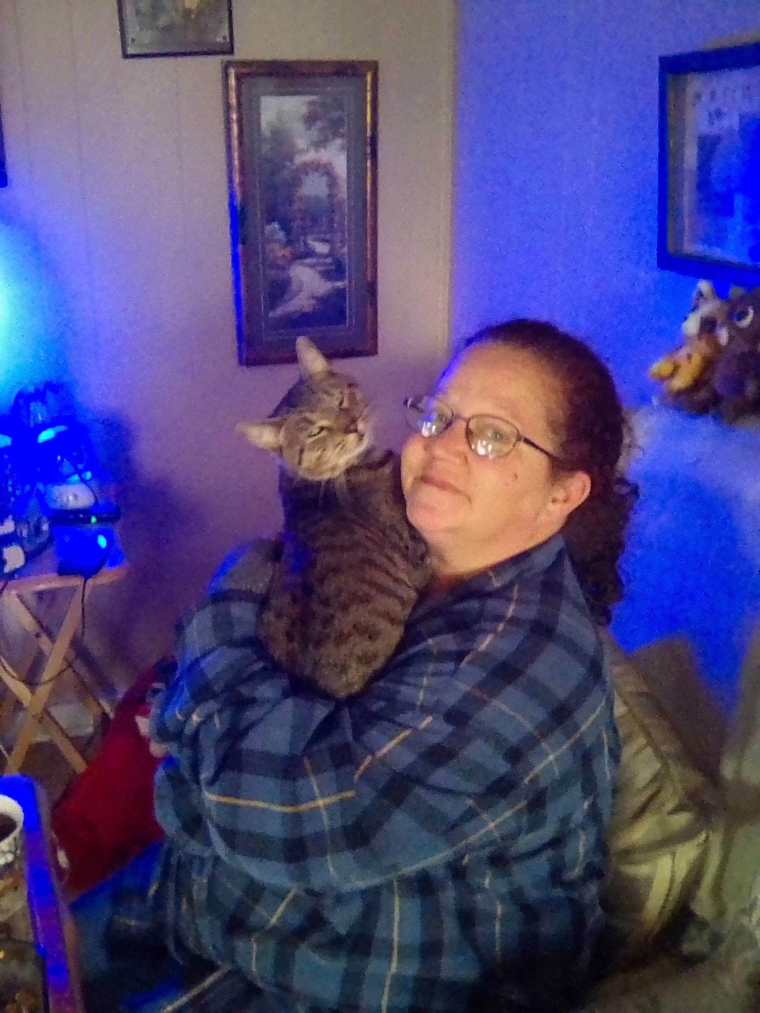 Echo joined the competition — help win amazing prizes! blue, carnivore, cat, comfort, domestic_short_haired_cat, electric_blue, event, felidae, fun, lap, lighting, mammal, picture_frame, plaid, purple, room, small_to_medium_sized_cats, tail, tartan, whiskers